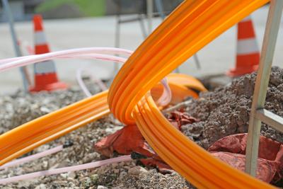 Fiber